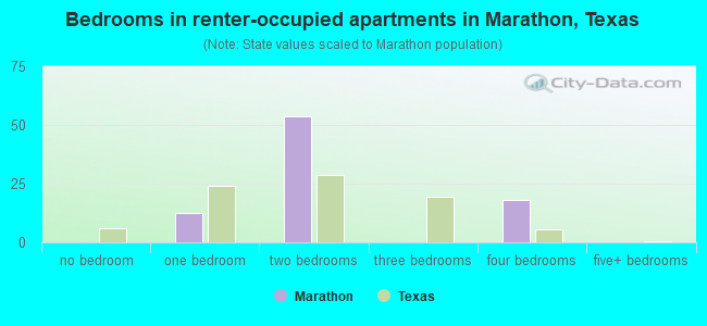 Bedrooms in renter-occupied apartments in Marathon, Texas
