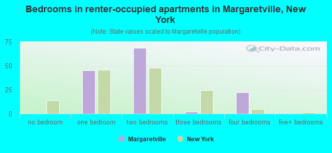 Bedrooms in renter-occupied apartments in Margaretville, New York