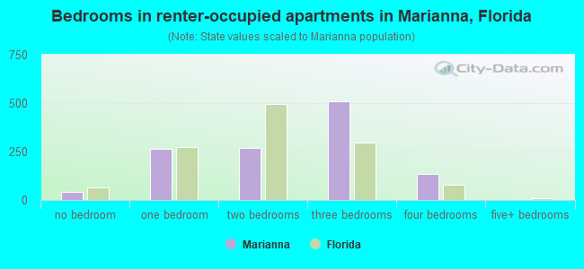 Bedrooms in renter-occupied apartments in Marianna, Florida