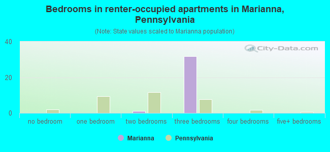 Bedrooms in renter-occupied apartments in Marianna, Pennsylvania