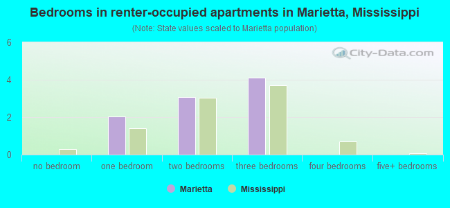 Bedrooms in renter-occupied apartments in Marietta, Mississippi