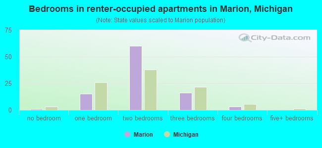 Bedrooms in renter-occupied apartments in Marion, Michigan