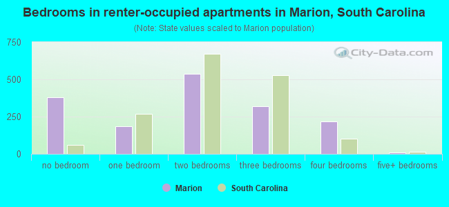 Bedrooms in renter-occupied apartments in Marion, South Carolina