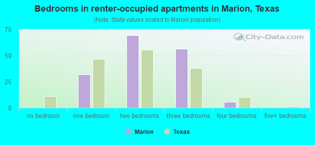 Bedrooms in renter-occupied apartments in Marion, Texas