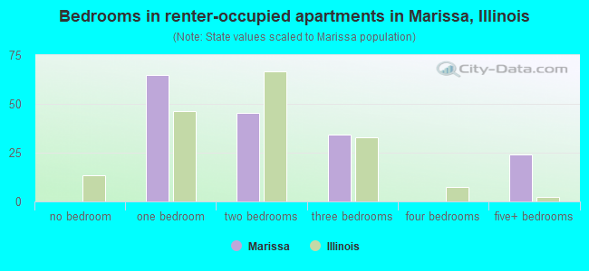 Bedrooms in renter-occupied apartments in Marissa, Illinois