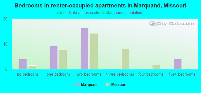 Bedrooms in renter-occupied apartments in Marquand, Missouri