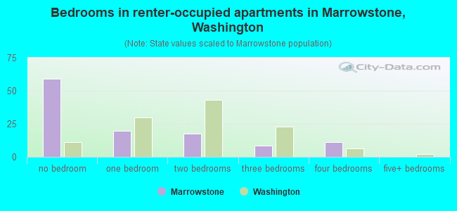 Bedrooms in renter-occupied apartments in Marrowstone, Washington