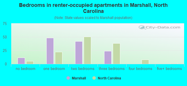 Bedrooms in renter-occupied apartments in Marshall, North Carolina