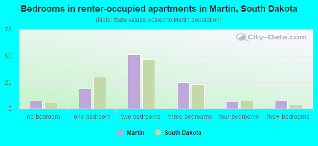 Bedrooms in renter-occupied apartments in Martin, South Dakota
