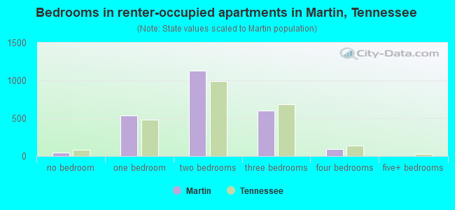 Bedrooms in renter-occupied apartments in Martin, Tennessee