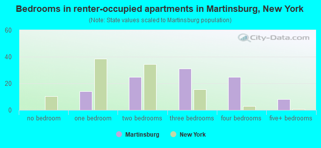 Bedrooms in renter-occupied apartments in Martinsburg, New York