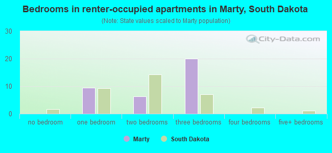 Bedrooms in renter-occupied apartments in Marty, South Dakota