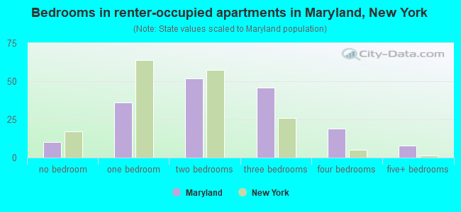 Bedrooms in renter-occupied apartments in Maryland, New York