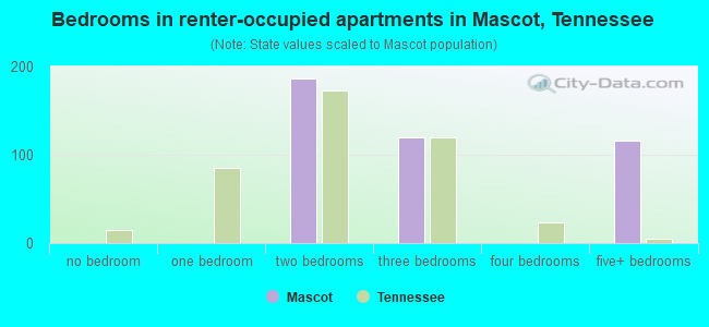 Bedrooms in renter-occupied apartments in Mascot, Tennessee