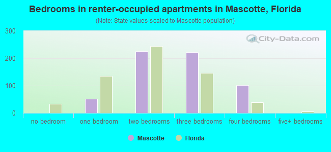 Bedrooms in renter-occupied apartments in Mascotte, Florida