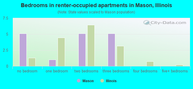 Bedrooms in renter-occupied apartments in Mason, Illinois