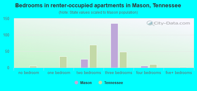 Bedrooms in renter-occupied apartments in Mason, Tennessee