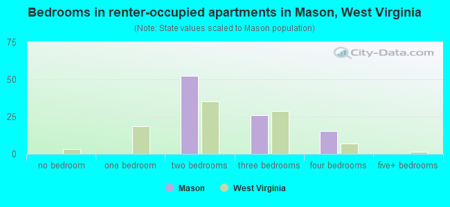 Bedrooms in renter-occupied apartments in Mason, West Virginia