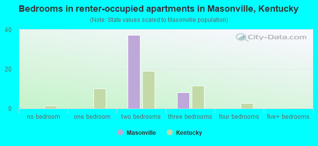 Bedrooms in renter-occupied apartments in Masonville, Kentucky