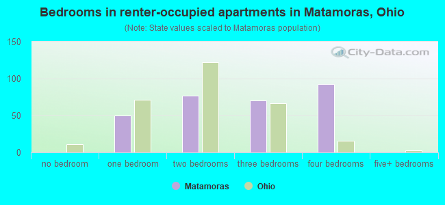 Bedrooms in renter-occupied apartments in Matamoras, Ohio