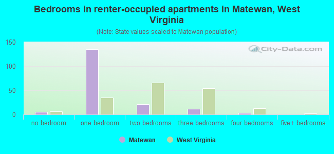 Bedrooms in renter-occupied apartments in Matewan, West Virginia