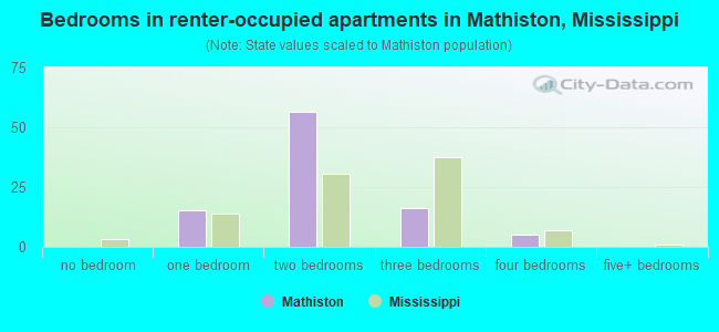 Bedrooms in renter-occupied apartments in Mathiston, Mississippi