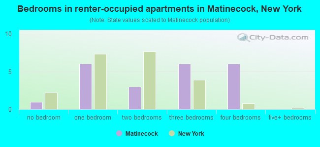 Bedrooms in renter-occupied apartments in Matinecock, New York