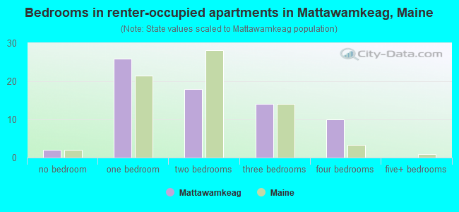 Bedrooms in renter-occupied apartments in Mattawamkeag, Maine
