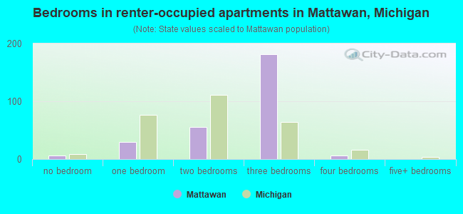 Bedrooms in renter-occupied apartments in Mattawan, Michigan