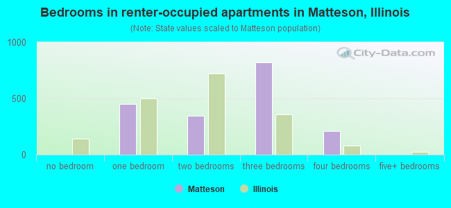 Bedrooms in renter-occupied apartments in Matteson, Illinois