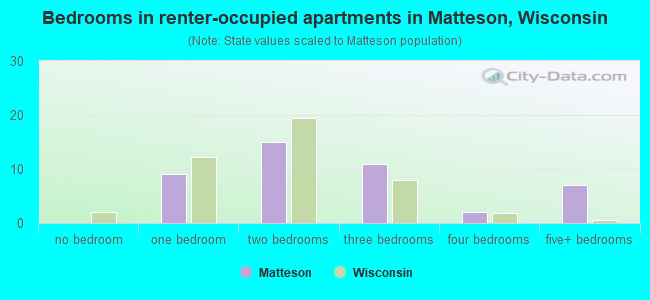Bedrooms in renter-occupied apartments in Matteson, Wisconsin