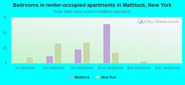 Bedrooms in renter-occupied apartments in Mattituck, New York