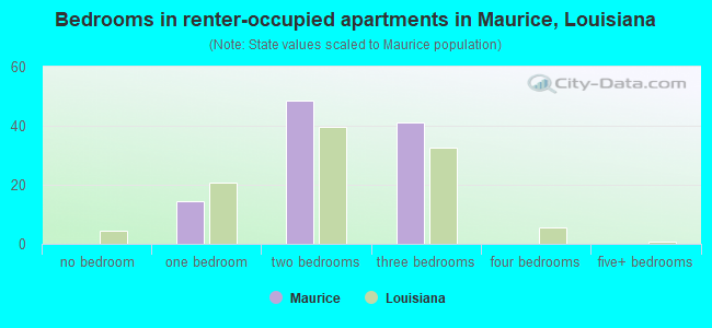 Bedrooms in renter-occupied apartments in Maurice, Louisiana