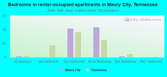 Bedrooms in renter-occupied apartments in Maury City, Tennessee