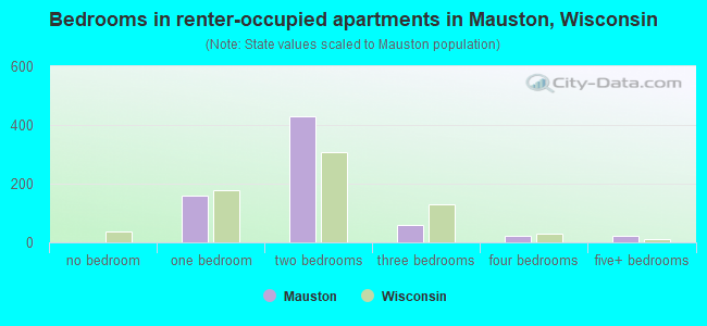 Bedrooms in renter-occupied apartments in Mauston, Wisconsin