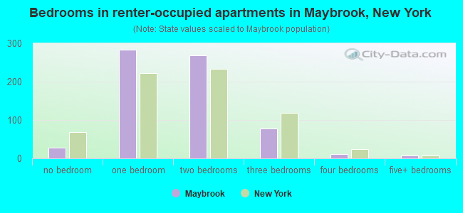 Bedrooms in renter-occupied apartments in Maybrook, New York