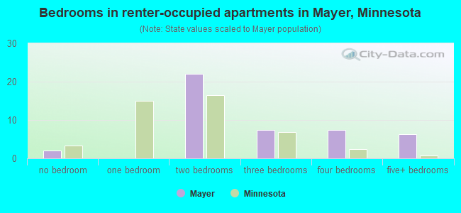 Bedrooms in renter-occupied apartments in Mayer, Minnesota