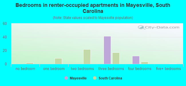 Bedrooms in renter-occupied apartments in Mayesville, South Carolina