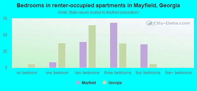 Bedrooms in renter-occupied apartments in Mayfield, Georgia