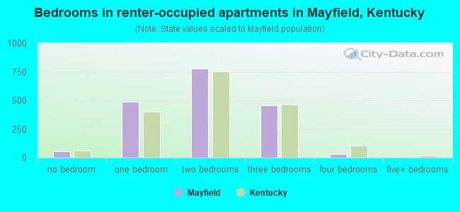 Bedrooms in renter-occupied apartments in Mayfield, Kentucky