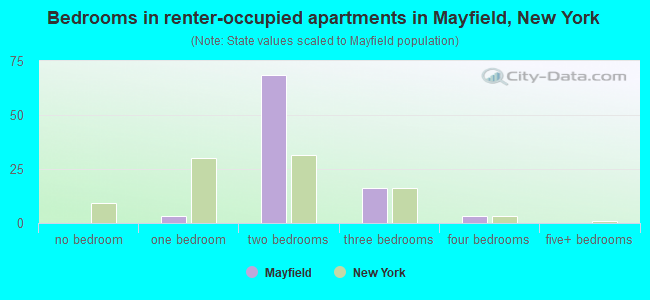 Bedrooms in renter-occupied apartments in Mayfield, New York
