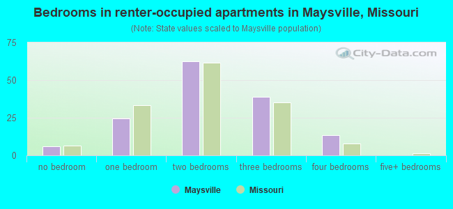 Bedrooms in renter-occupied apartments in Maysville, Missouri