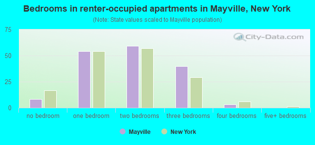 Bedrooms in renter-occupied apartments in Mayville, New York