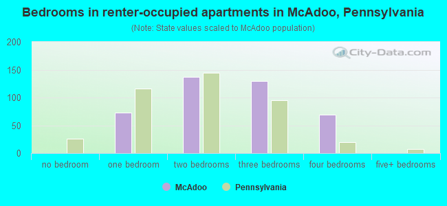 Bedrooms in renter-occupied apartments in McAdoo, Pennsylvania