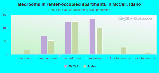 Bedrooms in renter-occupied apartments in McCall, Idaho