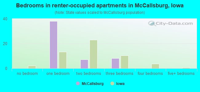 Bedrooms in renter-occupied apartments in McCallsburg, Iowa