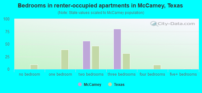Bedrooms in renter-occupied apartments in McCamey, Texas