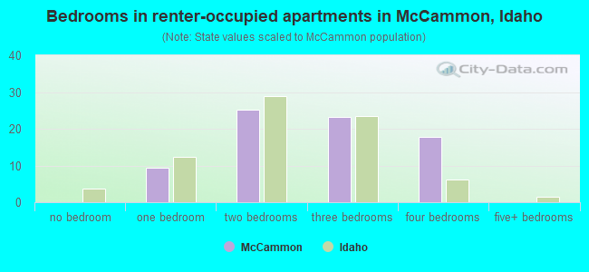 Bedrooms in renter-occupied apartments in McCammon, Idaho
