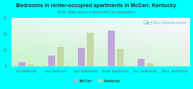 Bedrooms in renter-occupied apartments in McCarr, Kentucky