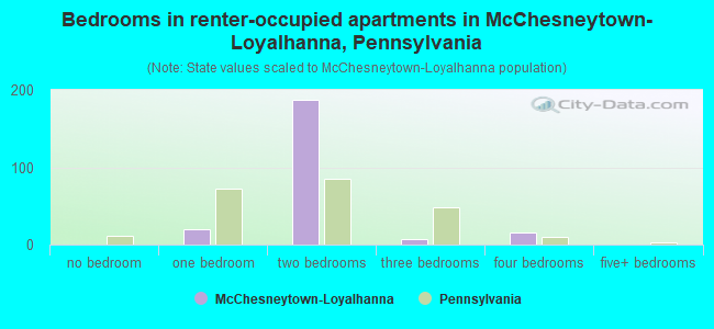 Bedrooms in renter-occupied apartments in McChesneytown-Loyalhanna, Pennsylvania